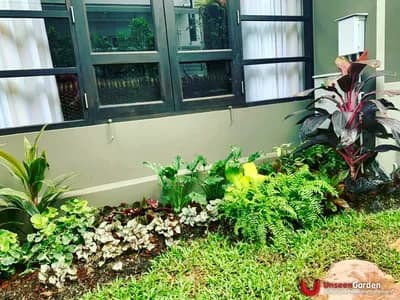 สวนสวย สวนหย่อม - รูปที่ 14