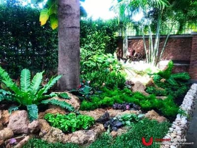 สวนสวย สวนหย่อม - รูปที่ 16