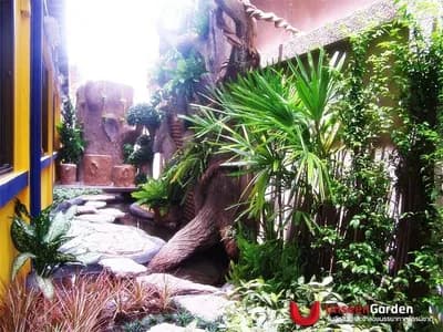 สวนสวย สวนหย่อม - รูปที่ 1