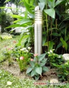 สวนสวย สวนหย่อม - รูปที่ 6