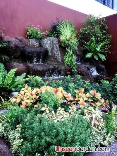 สวนสวย สวนหย่อม - รูปที่ 11