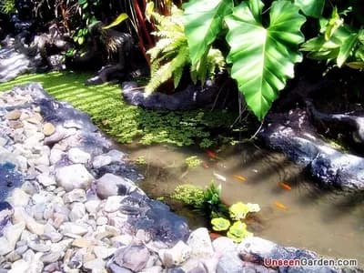 สวนสวย สวนหย่อม - รูปที่ 27