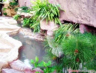 ผลงานสวนสวย สวนหย่อม - UnseenGarden รับจัดสวน