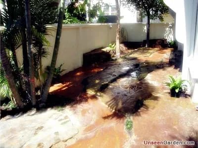 สวนสวย สวนหย่อม - รูปที่ 32