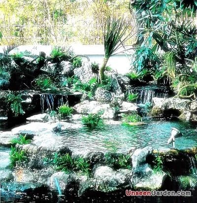 สวนสวย สวนหย่อม - รูปที่ 34