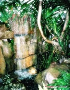 สวนสวย สวนหย่อม - รูปที่ 36