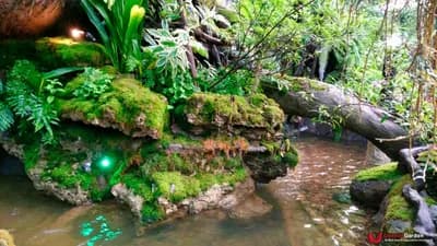 หน้าผาจำลอง - รูปที่ 4