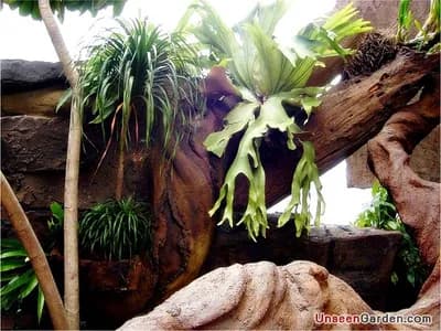 ผลงานหน้าผาจำลอง - UnseenGarden รับจัดสวน