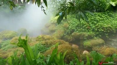 ผลงานระบบหมอกควันในสวน - UnseenGarden รับจัดสวน