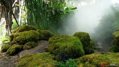 ผลงานทั้งหมด - รูปที่ 44