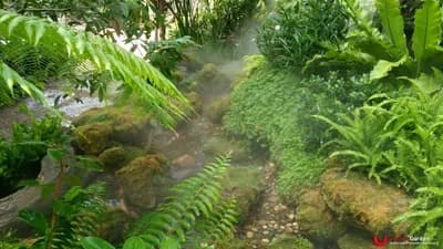 ผลงานทั้งหมด - รูปที่ 46