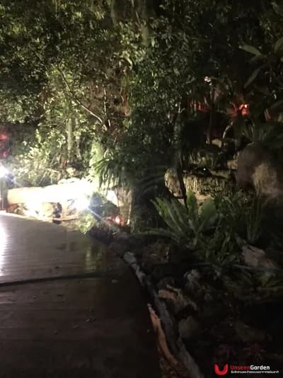 ระบบไฟส่องสว่าง - รูปที่ 4