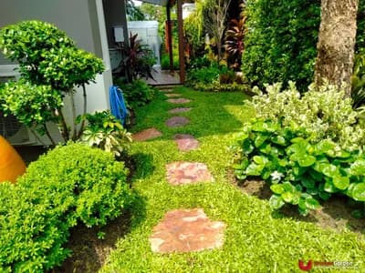 ผลงานทั้งหมด - รูปที่ 88