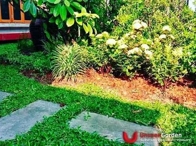 ผลงานทั้งหมด - รูปที่ 91