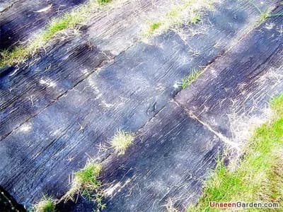 ผลงานทั้งหมด - รูปที่ 97