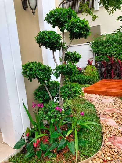 ผลงานทั้งหมด - รูปที่ 104