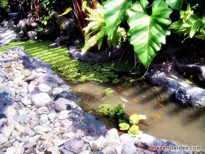 ธารน้ำ - รูปที่ 10