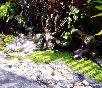 ธารน้ำ - รูปที่ 12