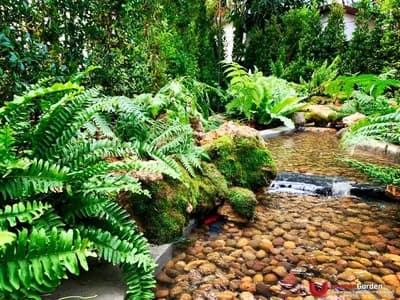ผลงานธารน้ำ - UnseenGarden รับจัดสวน