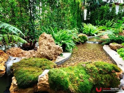 ธารน้ำ - รูปที่ 2