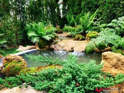 ธารน้ำ - รูปที่ 6