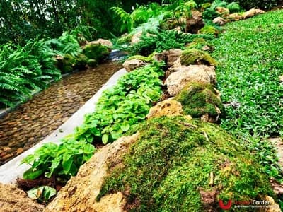 ธารน้ำ - รูปที่ 7