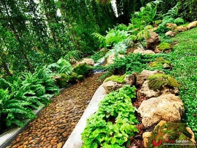 ธารน้ำ - รูปที่ 8