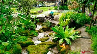 ผลงานลานหิน โขดหิน - UnseenGarden รับจัดสวน