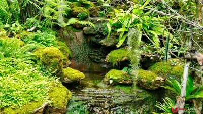 ลานหิน โขดหิน - รูปที่ 2