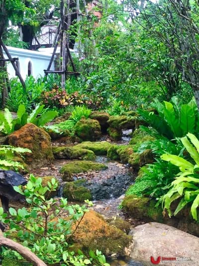 ลานหิน โขดหิน - รูปที่ 3