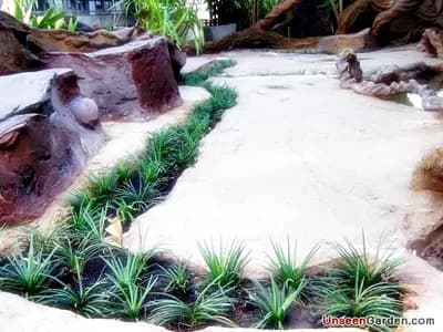 ลานหิน โขดหิน - รูปที่ 8