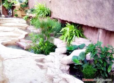 ลานหิน โขดหิน - รูปที่ 9