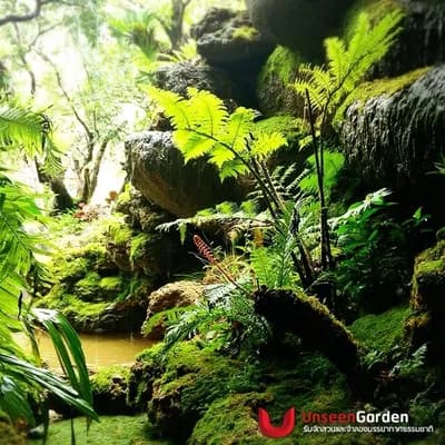 ผลงานน้ำตกจำลอง - UnseenGarden รับจัดสวน