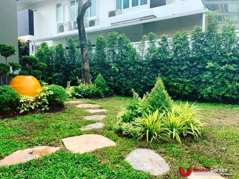 จัดหินหมากรุก